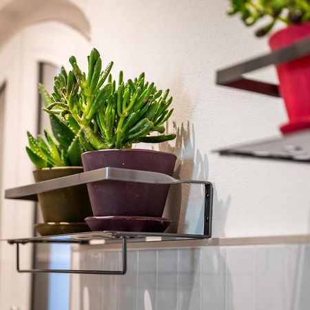 La Regia Apartment Cuneo Dış mekan fotoğraf